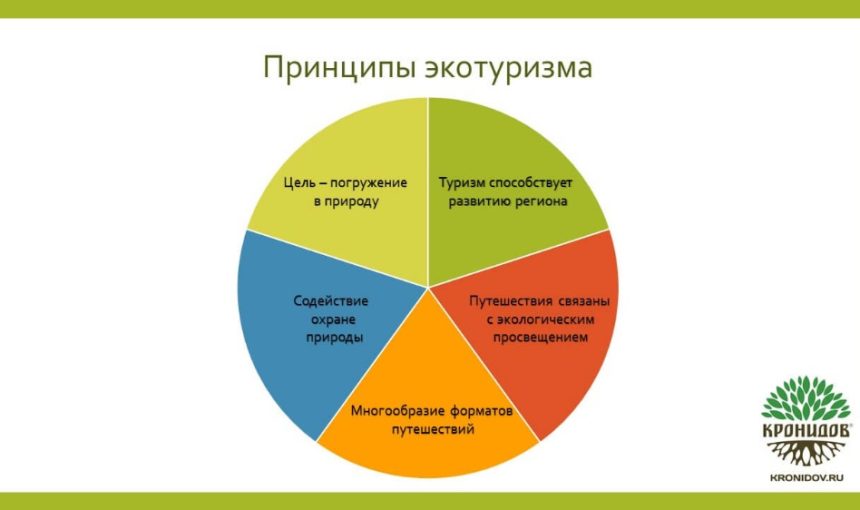 Экологический туризм: цены и особенности