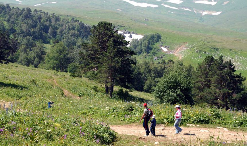 Экологический туризм: лучшие сайты для планирования вашего путешествия